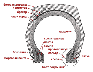 камерная шина